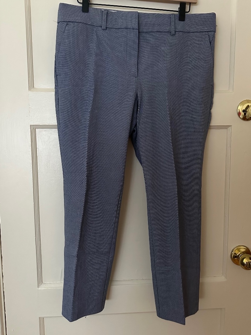 LOFT Marisa Blue and White Pants12 Petite (12P)